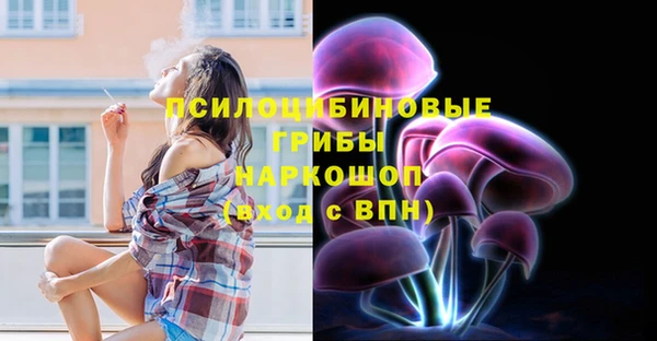 СК Абаза