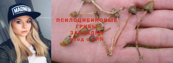 СК Абаза